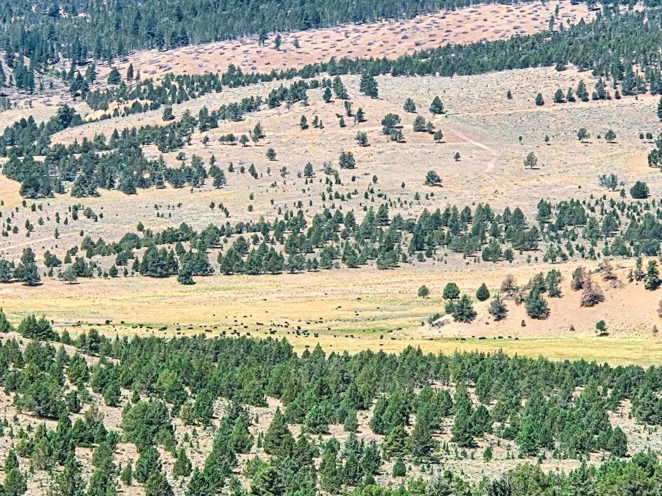 Photo of 32500 SE Tackman Road 107 of 113