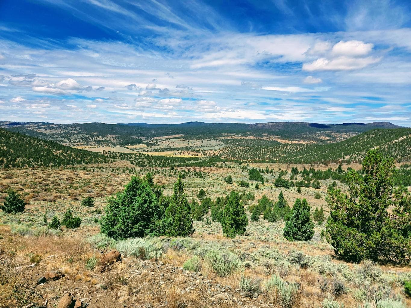 Photo of 32500 SE Tackman Road 110 of 113