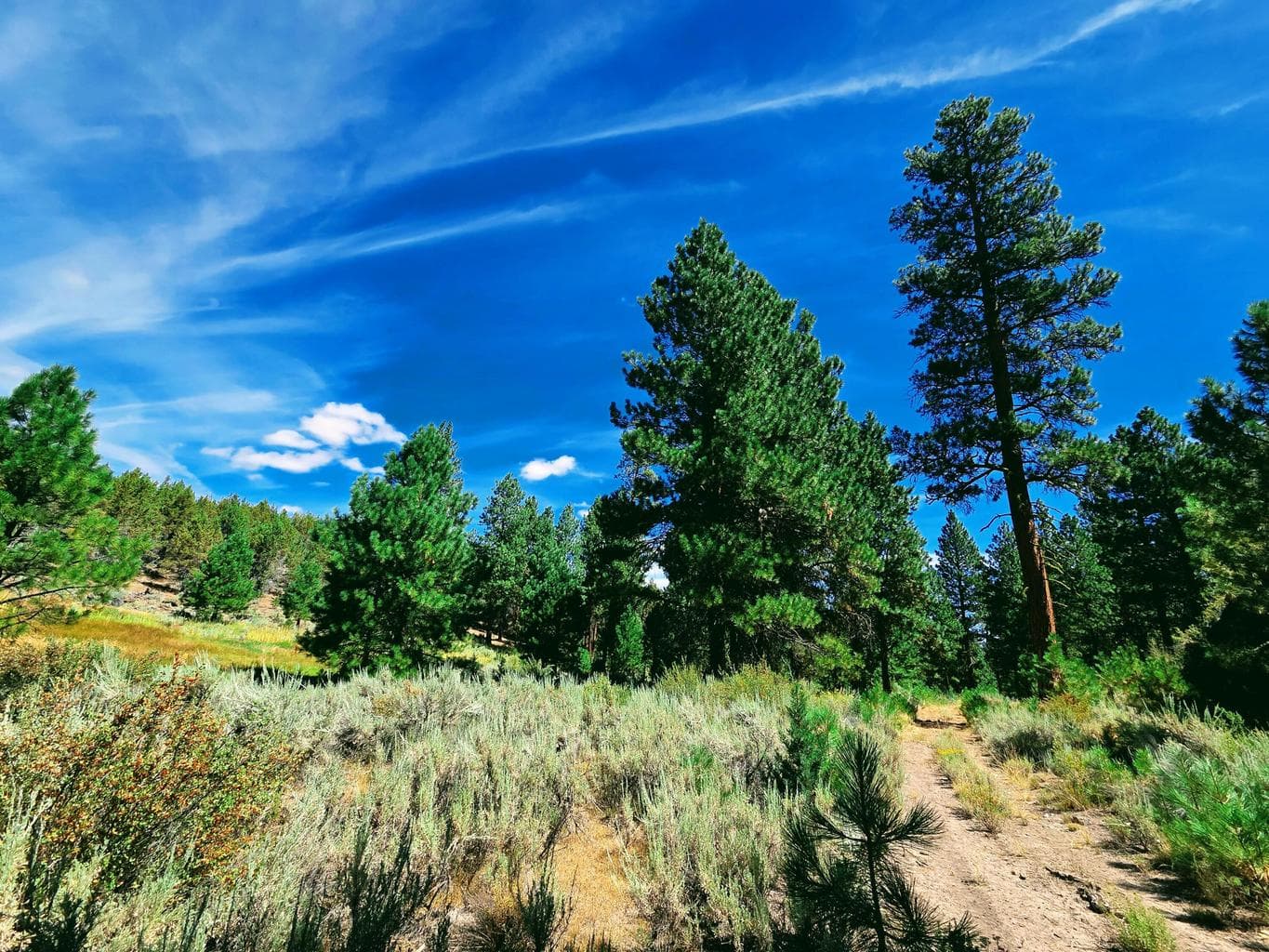 Photo of 32500 SE Tackman Road 80 of 113