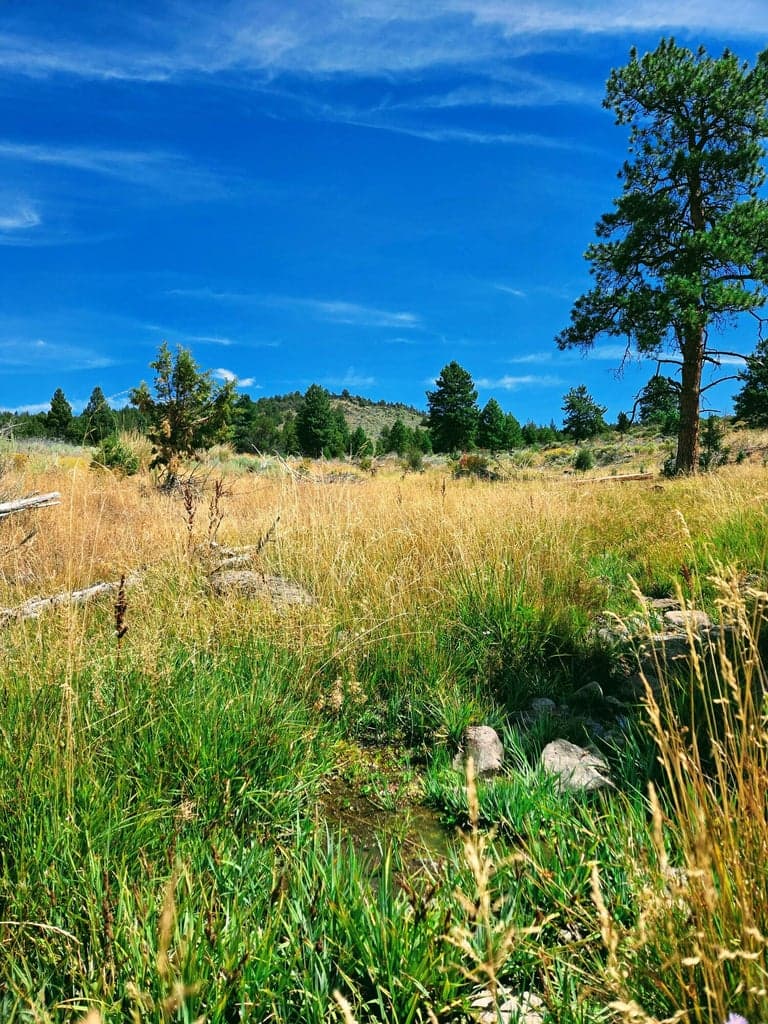 Photo of 32500 SE Tackman Road 60 of 113
