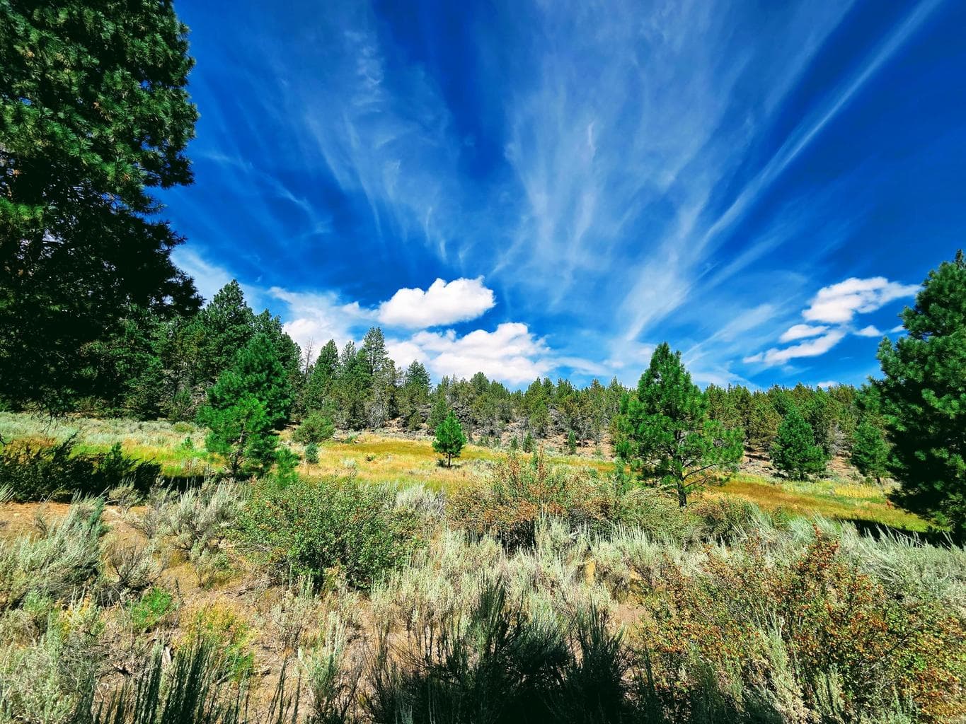 Photo of 32500 SE Tackman Road 82 of 113