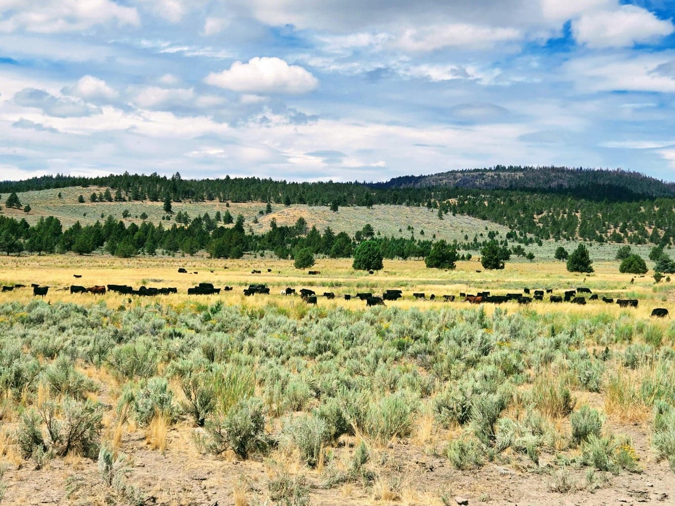 Photo of 32500 SE Tackman Road 64 of 113