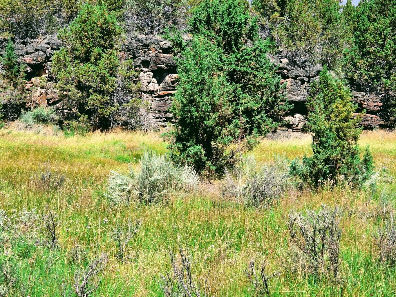 Photo of 32500 SE Tackman Road 111 of 113