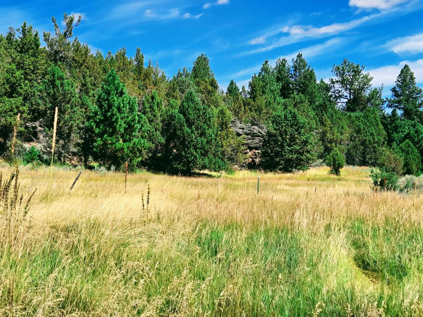 Photo of 32500 SE Tackman Road 112 of 113
