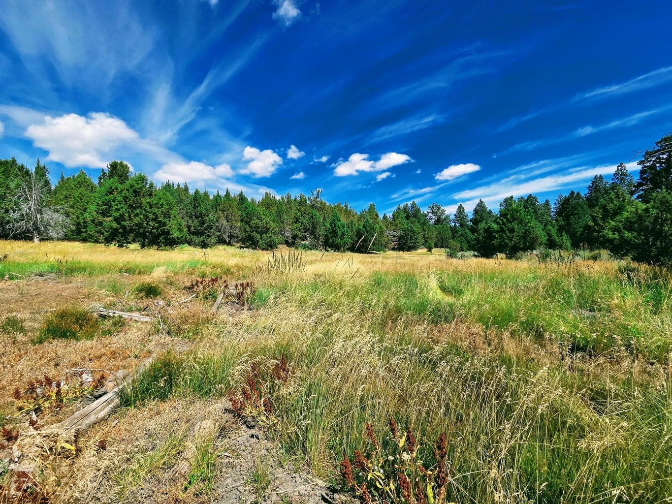 Photo of 32500 SE Tackman Road 113 of 113