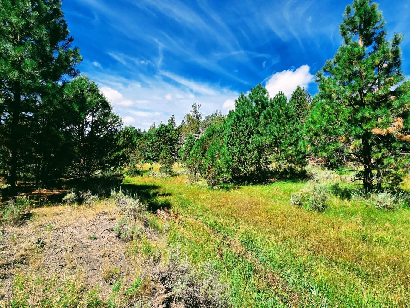 Photo of 32500 SE Tackman Road 84 of 113