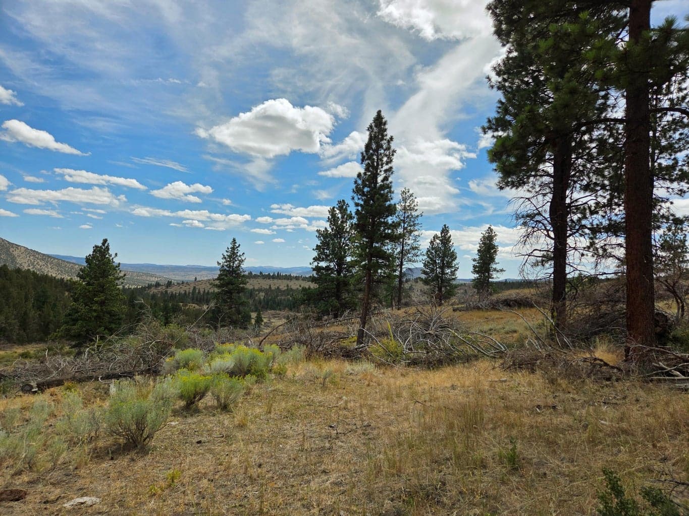 Photo of 32500 SE Tackman Road 83 of 113