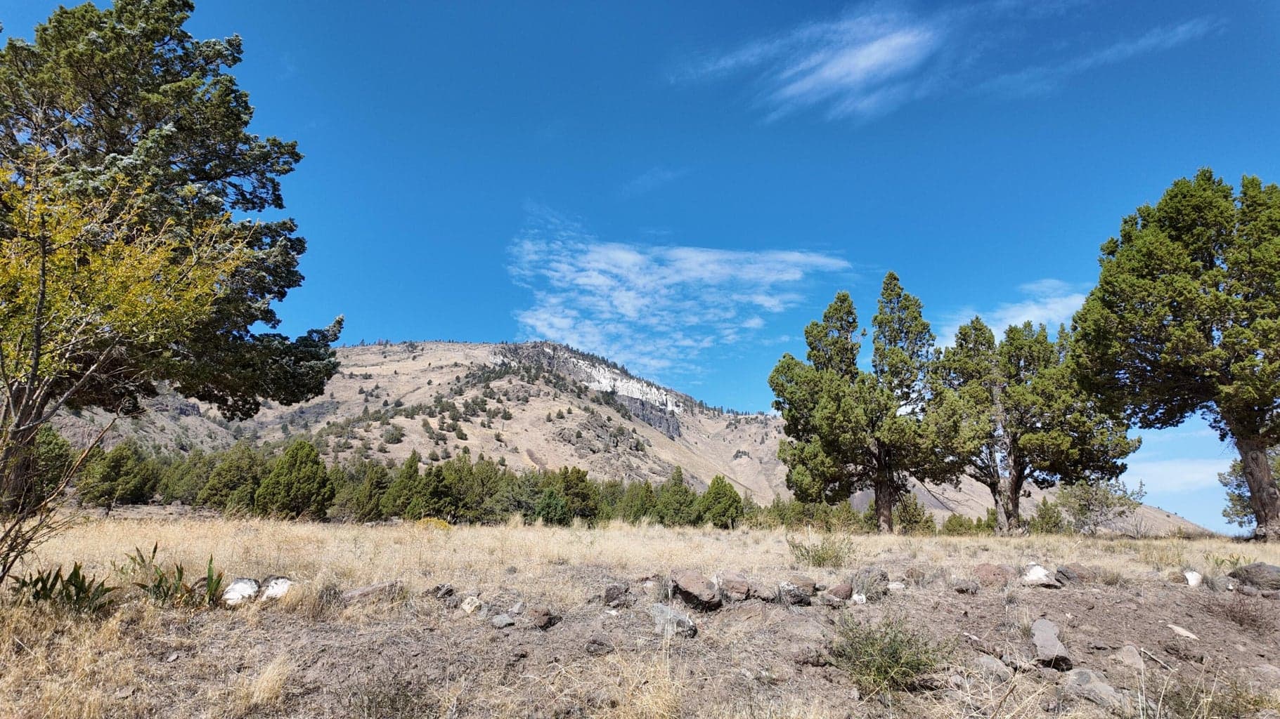 Photo of 54146 Highway 31 3 of 34