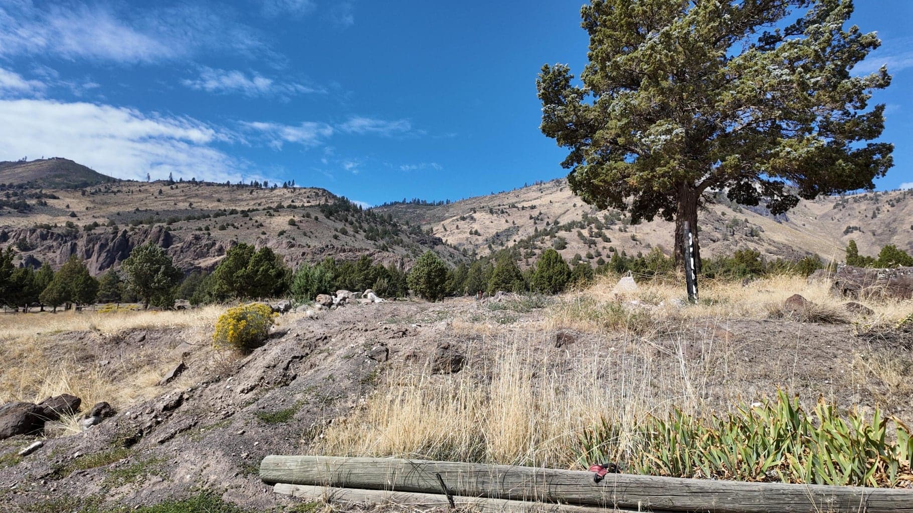 Photo of 54146 Highway 31 4 of 34