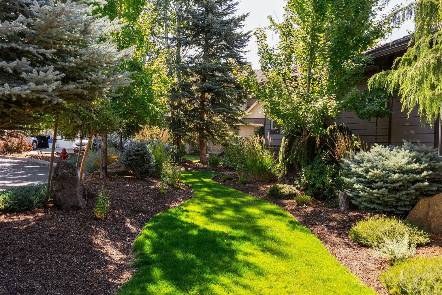 Front yard