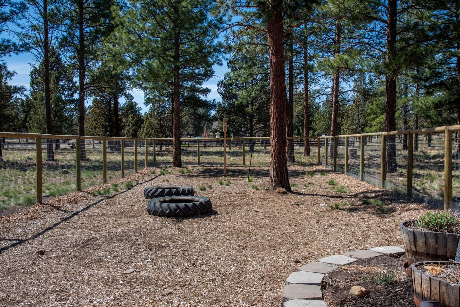 Fenced dog run