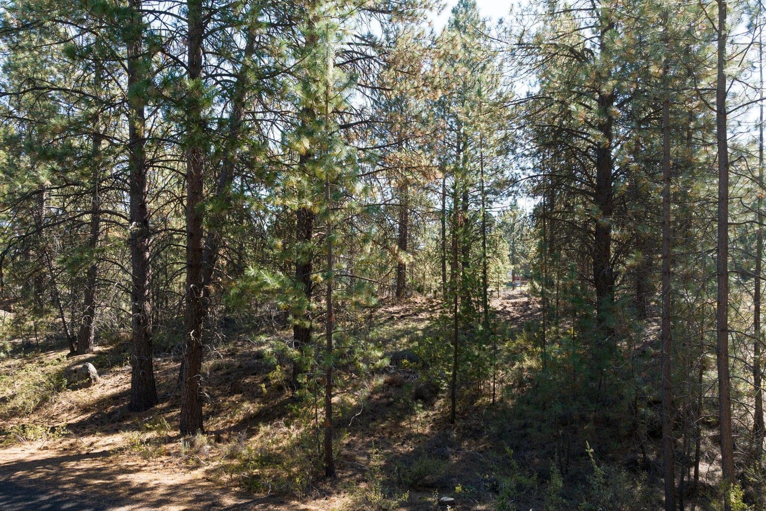 Photo of 60648 River Bend 2 of 7