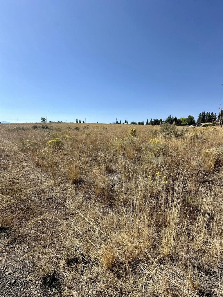 Vacant lot