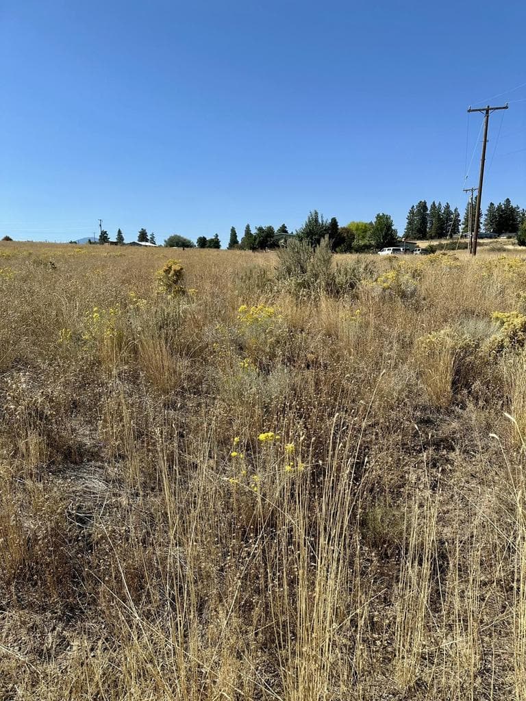 Vacant lot