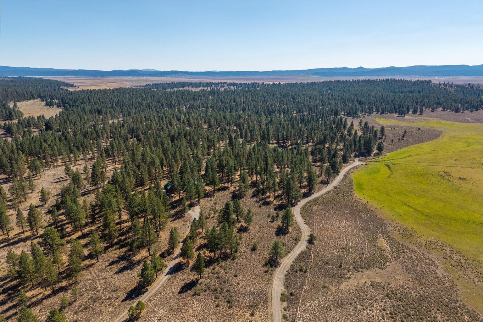 High-altitude shot showcasing the blend of thick forest and open meadows.