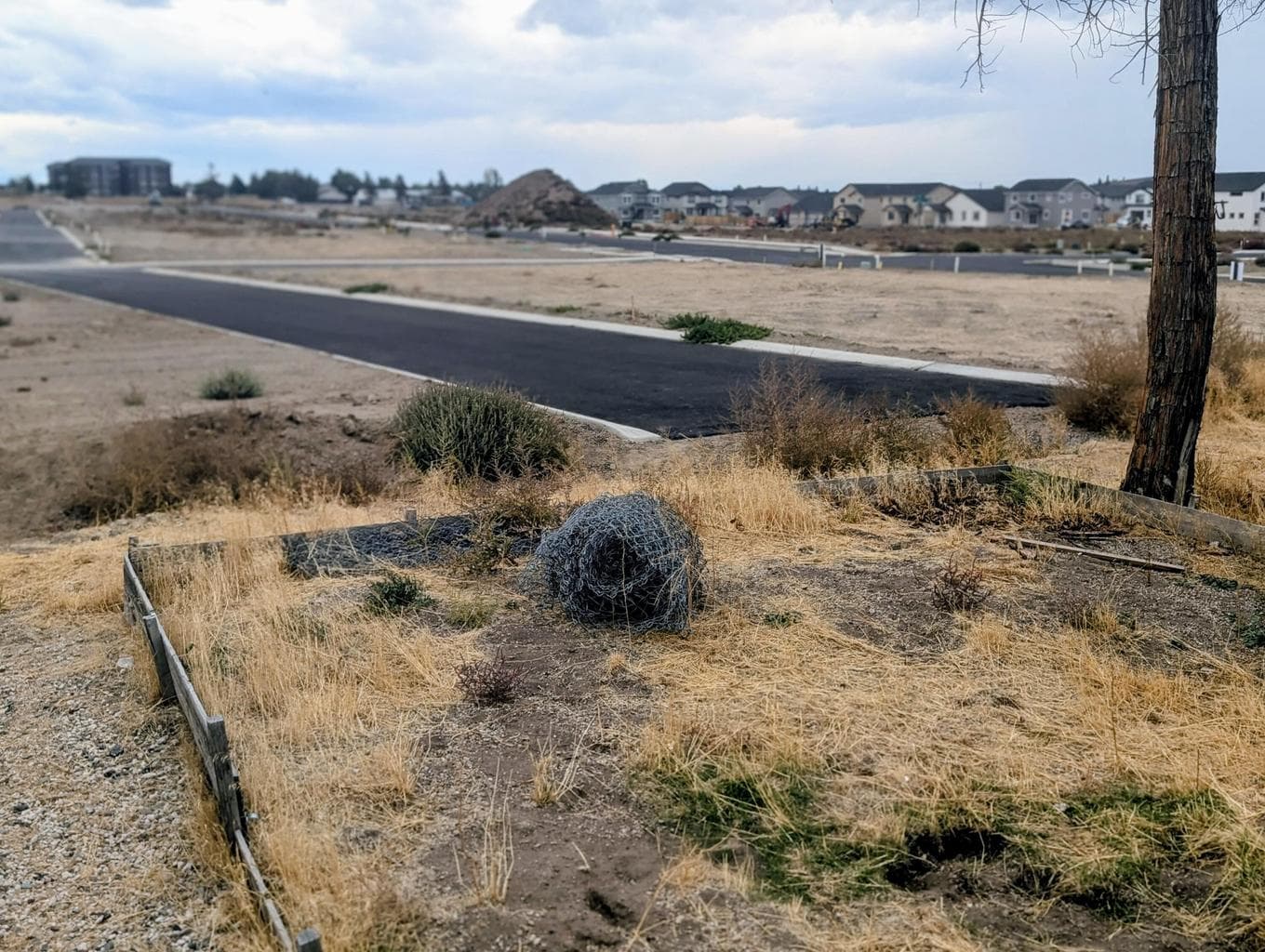 Newly completed road w/sewer manhole butting south prop. line
