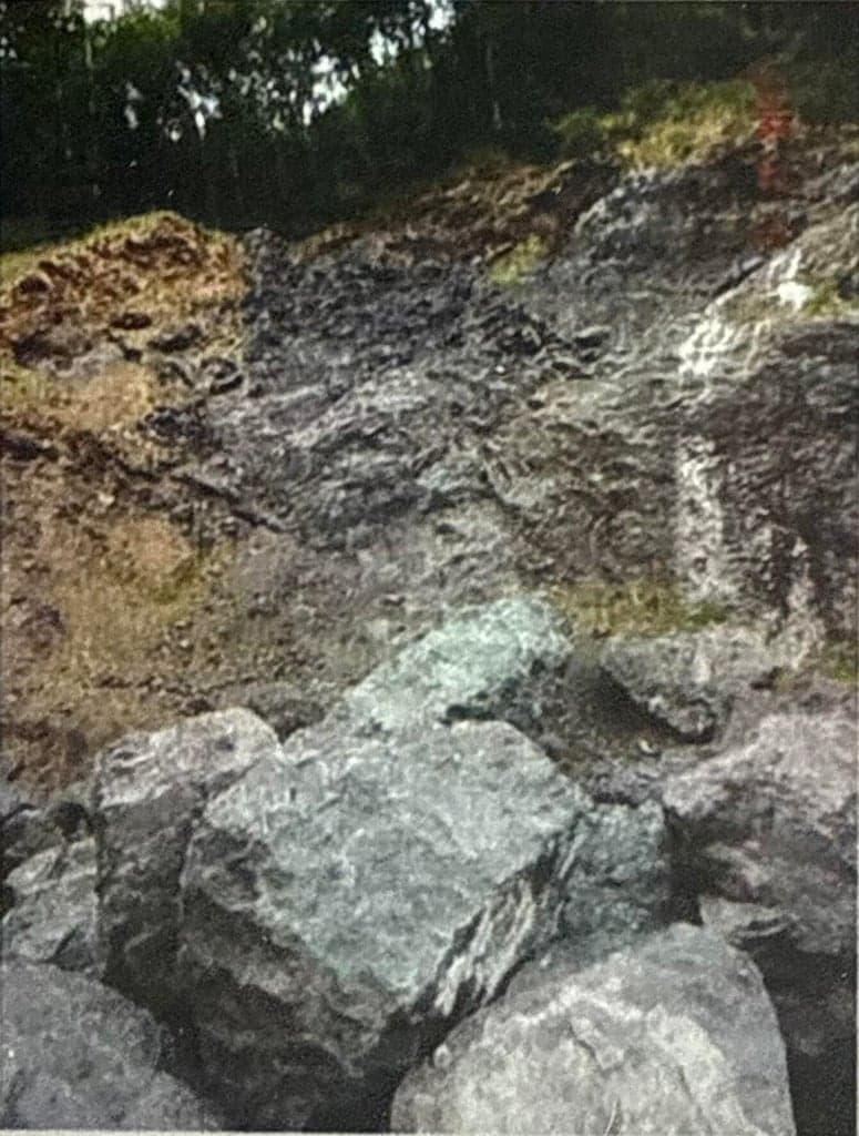 Photo of 1 Kilchis River 2 of 5