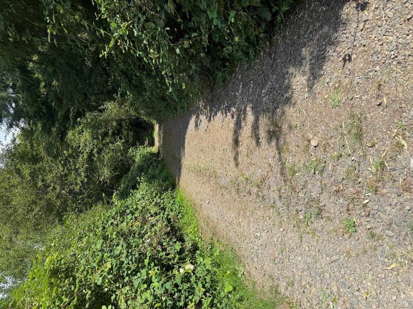 Photo of 1 Kilchis River 5 of 5