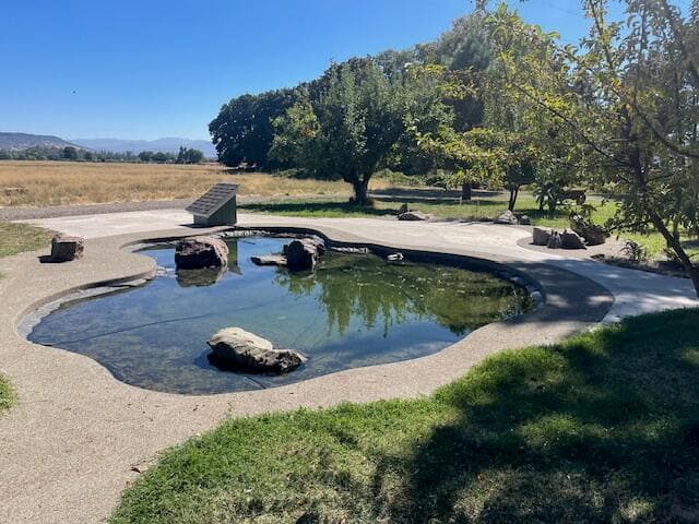 Beautiful lined pond in front yard