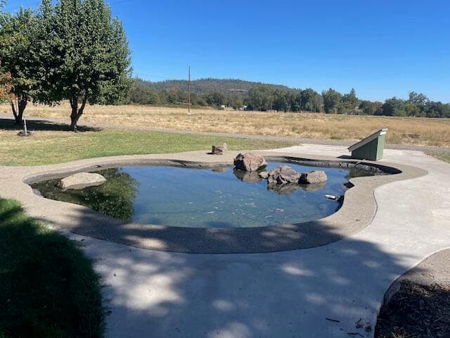 overflow from the artesian well keeps the pond full without pumping