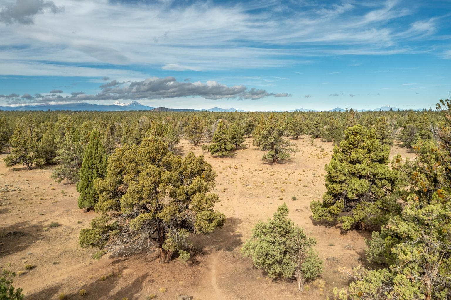 Photo of 61575 Gosney Road 7 of 28