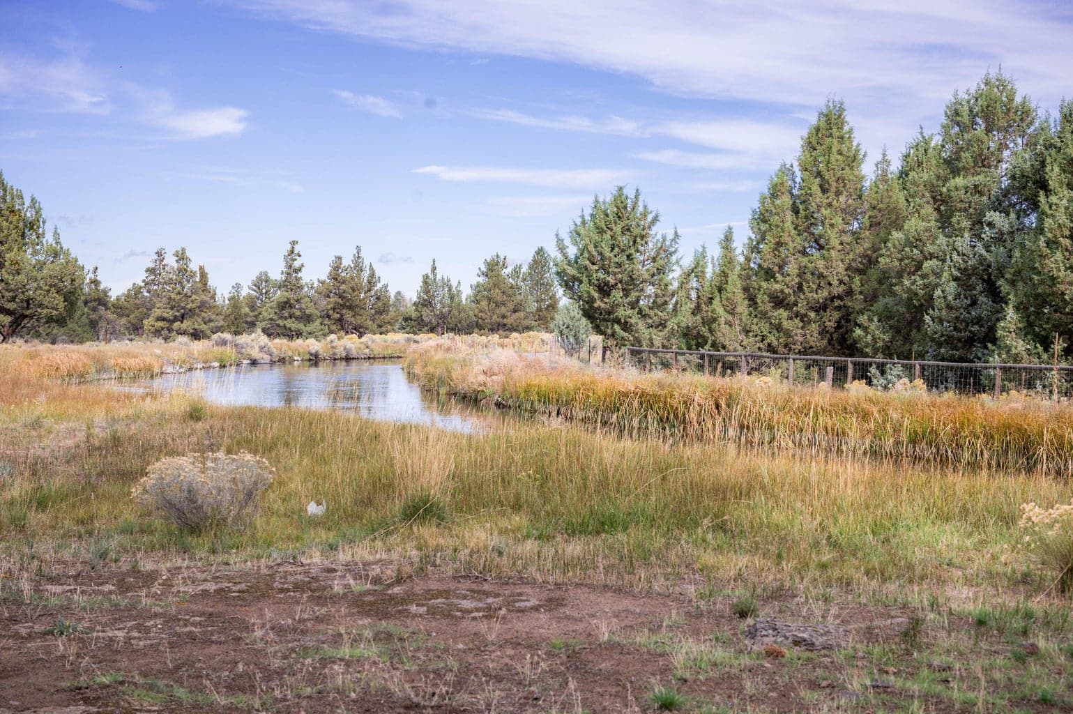Photo of 61575 Gosney Road 20 of 28