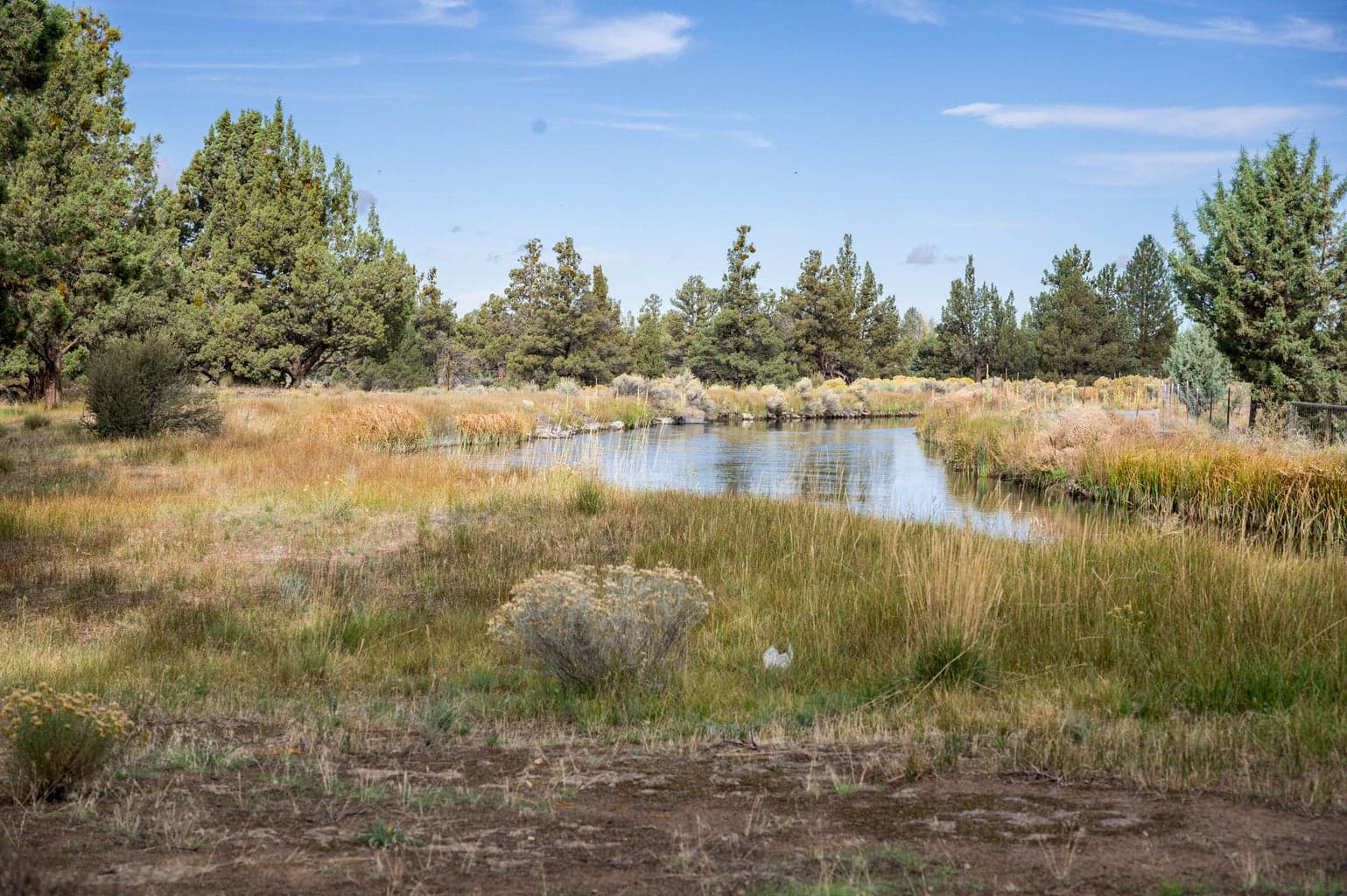 Photo of 61575 Gosney Road 21 of 28