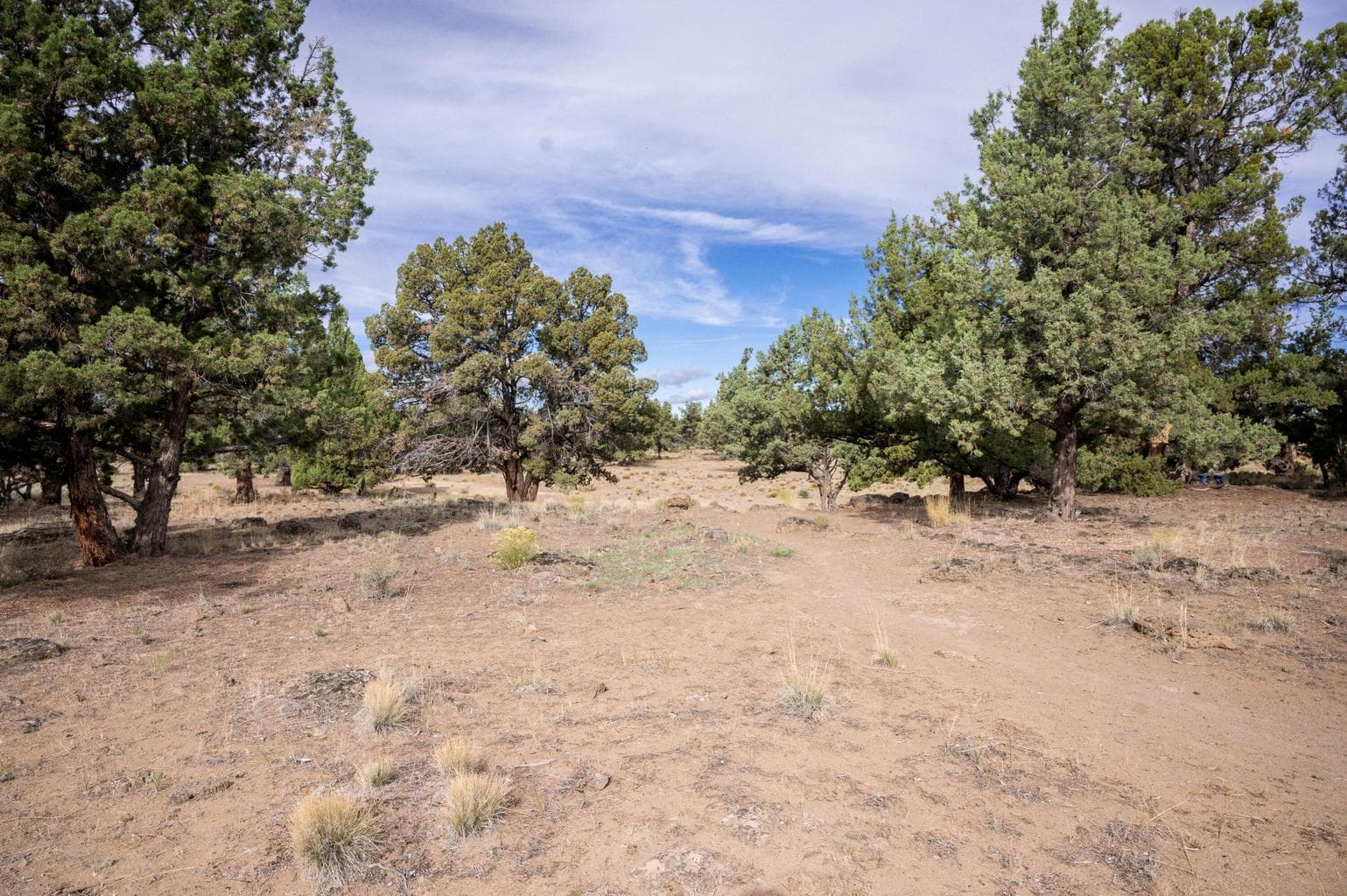 Photo of 61575 Gosney Road 24 of 28