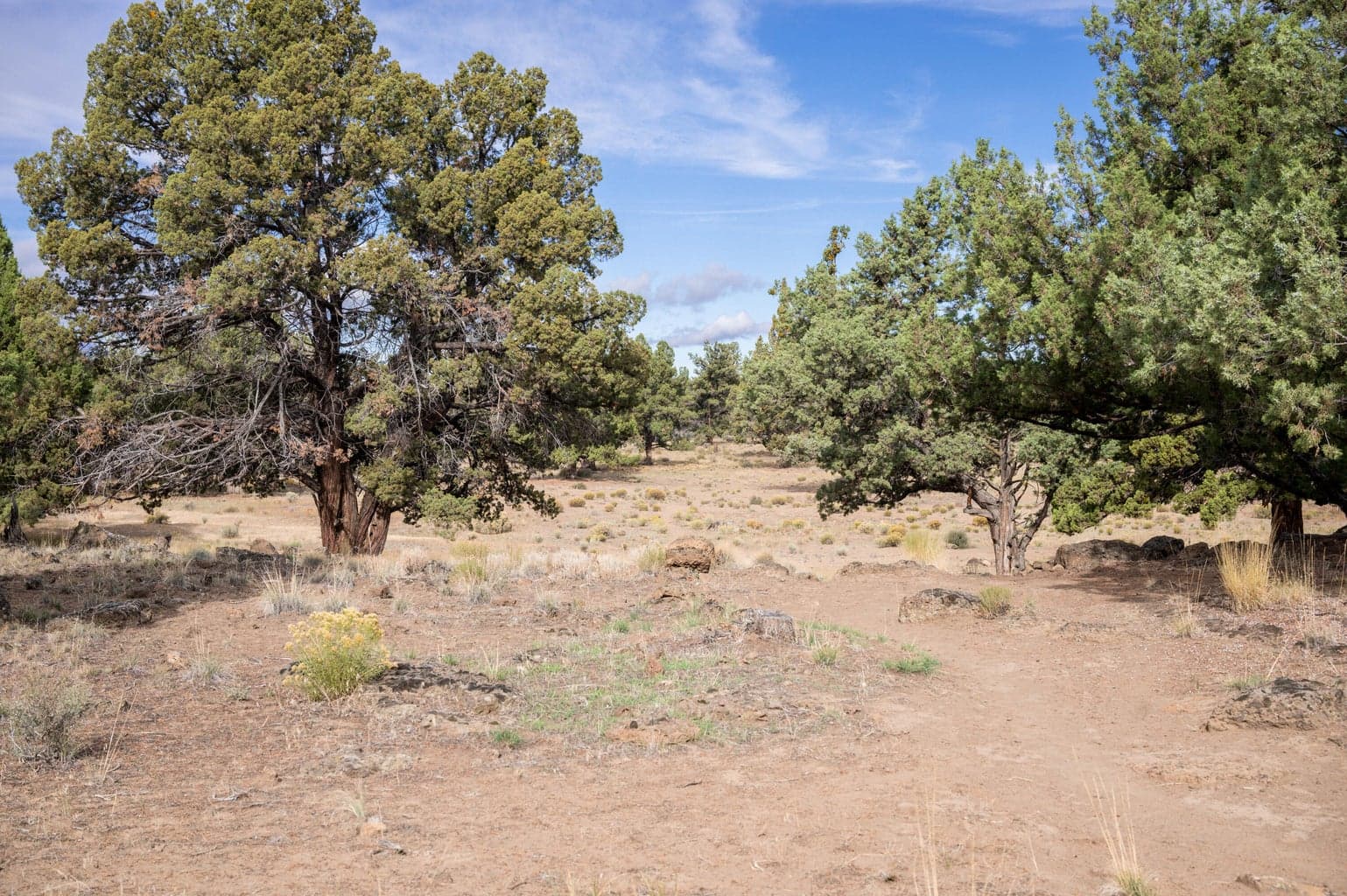 Photo of 61575 Gosney Road 25 of 28