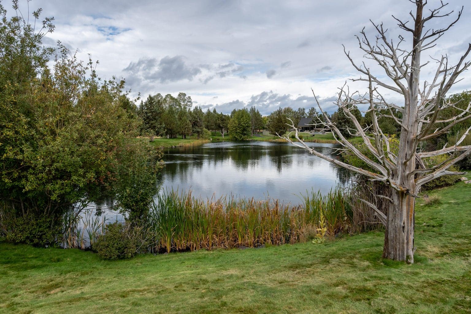 Photo of 10787 Village Loop 33 of 50