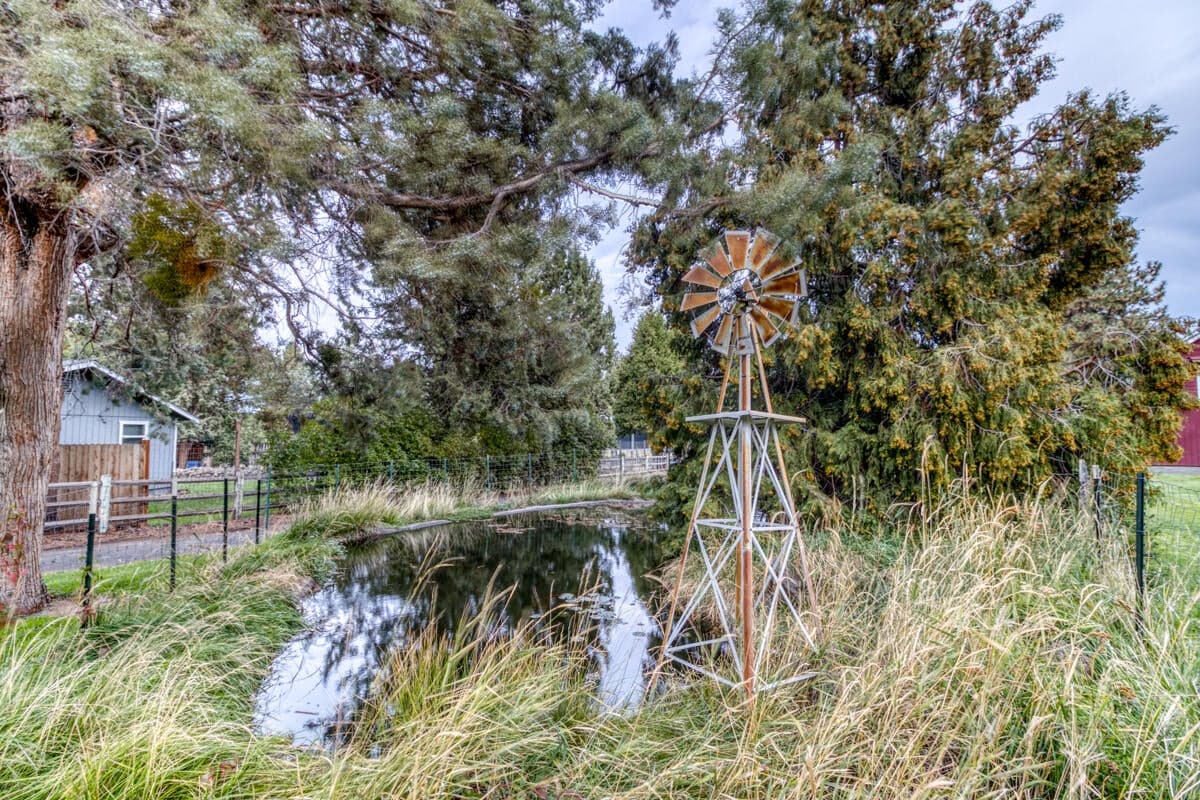 Pond