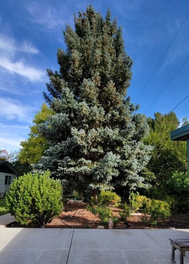 Photo of 320 SW Beaver Street 32 of 32