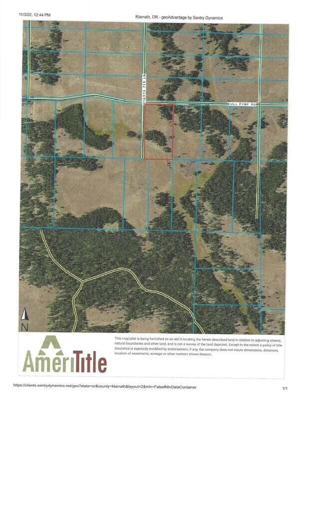 Photo of 0 Bull Pine 4 of 6