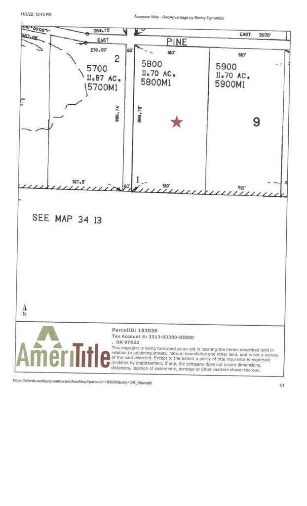 Photo of 0 Bull Pine 5 of 6