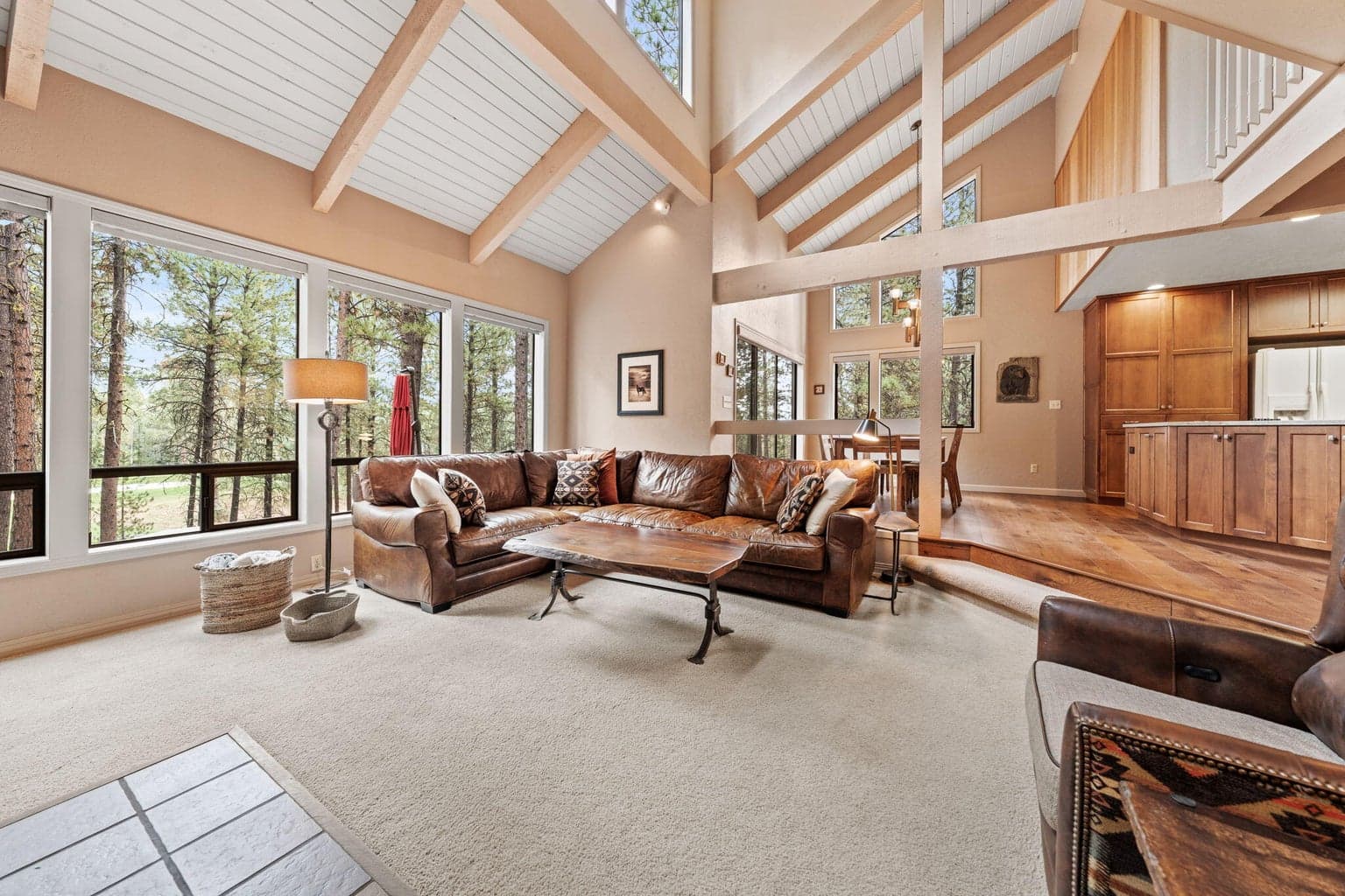 Photo of 70332 Sword Fern 4 of 44
