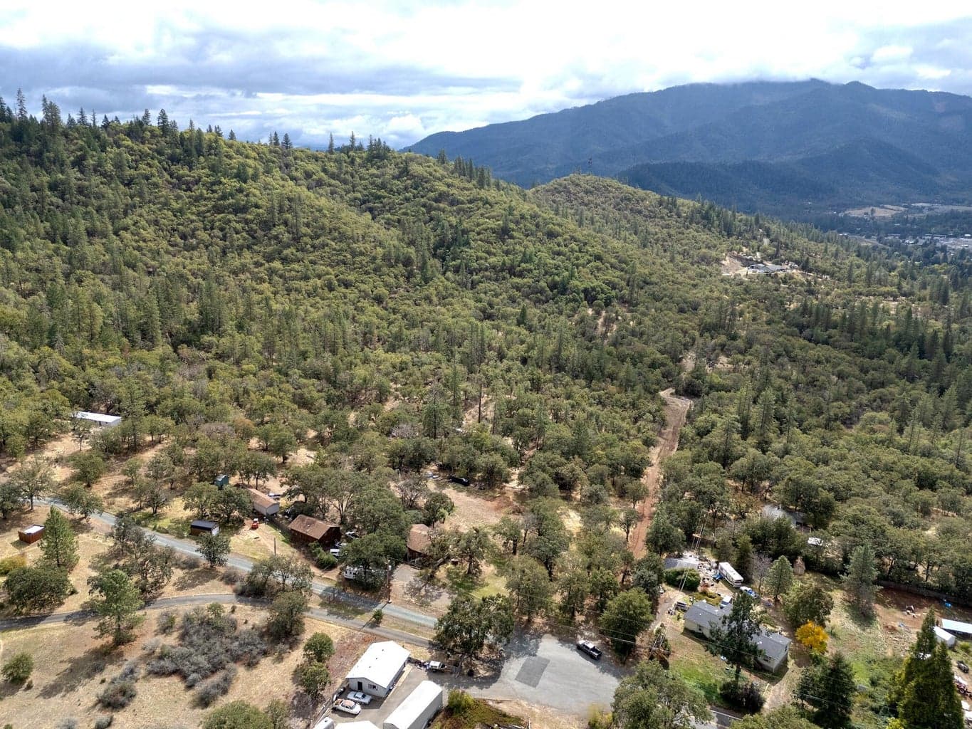Photo of Ann Roy 2 of 11