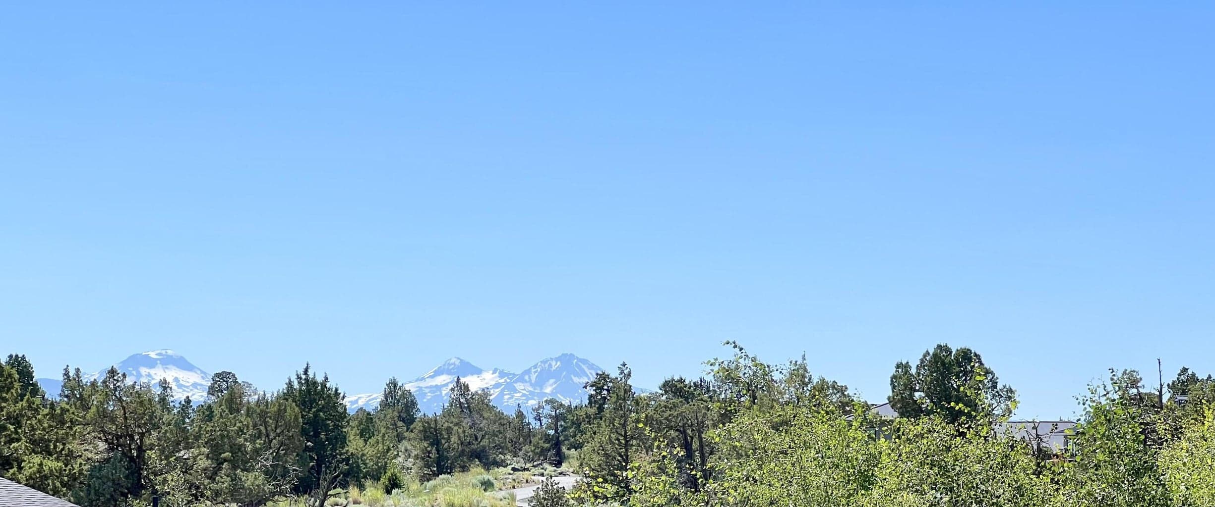 Early Summer mtn views from back part of property