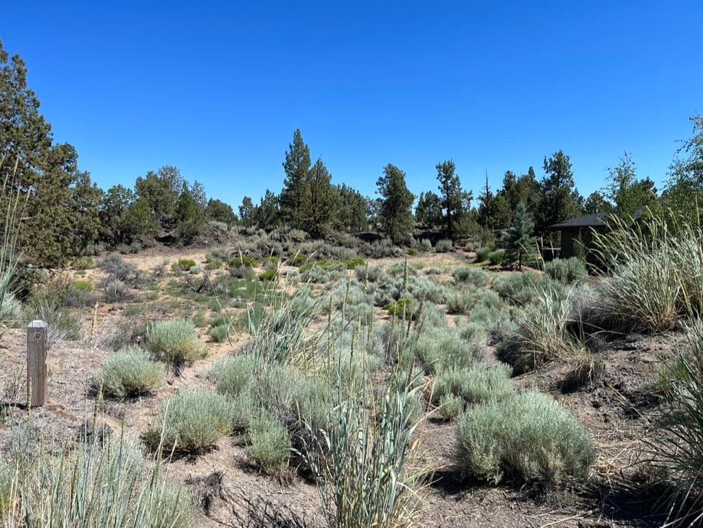lot view from Ghost tree lane