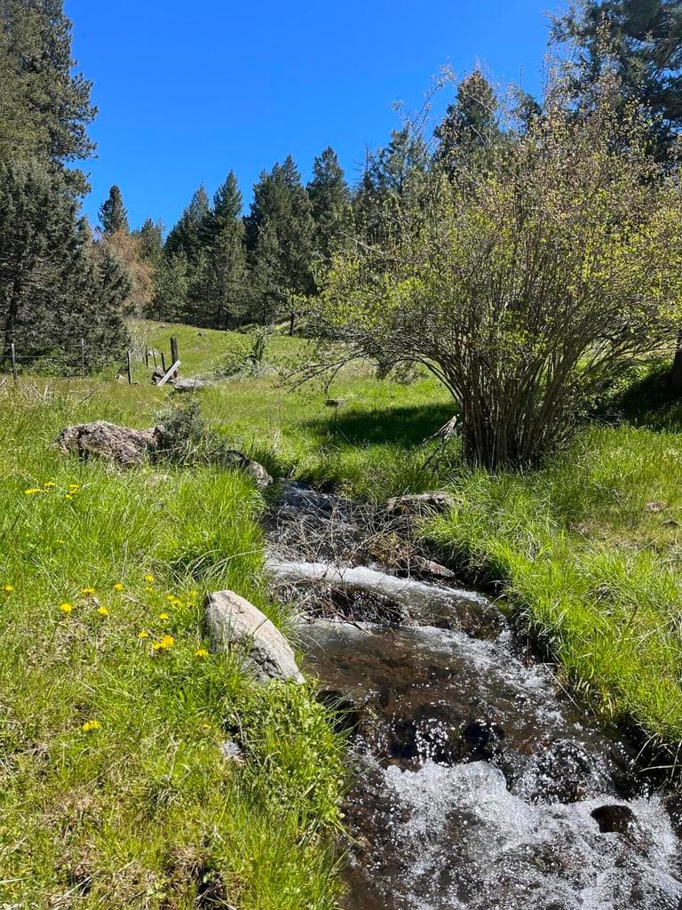 Cummings Creek, Mount Vernon, OR, 97865