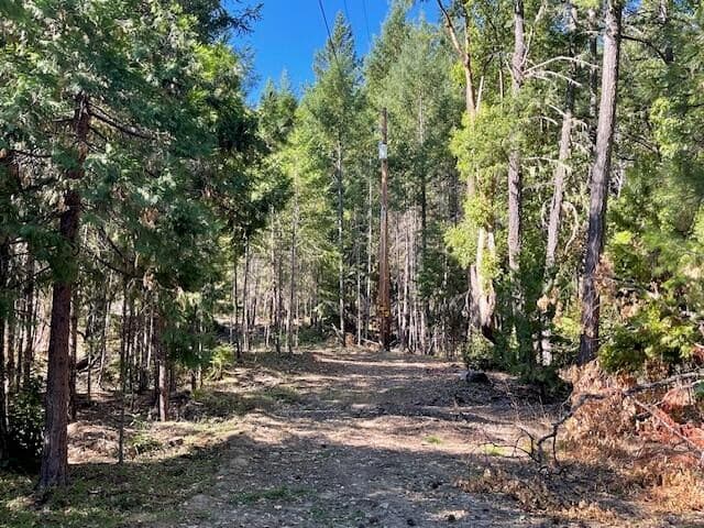 Photo of 8000 Thompson Creek 3 of 10