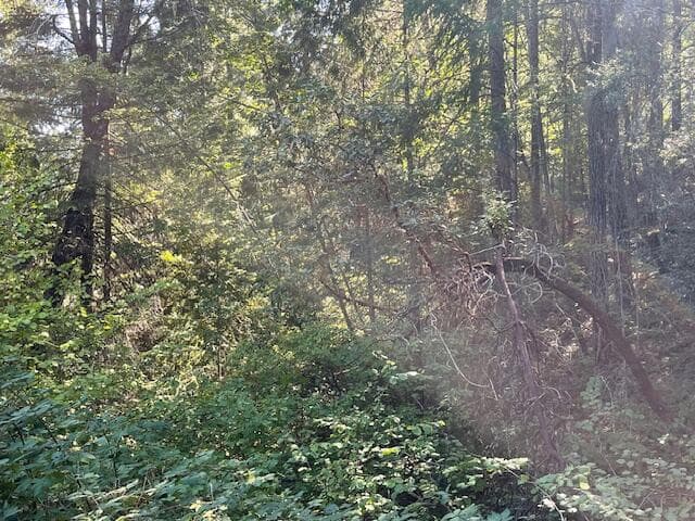 Photo of 8000 Thompson Creek 4 of 10