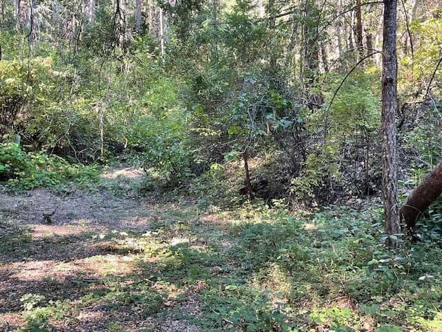 Photo of 8000 Thompson Creek 5 of 10