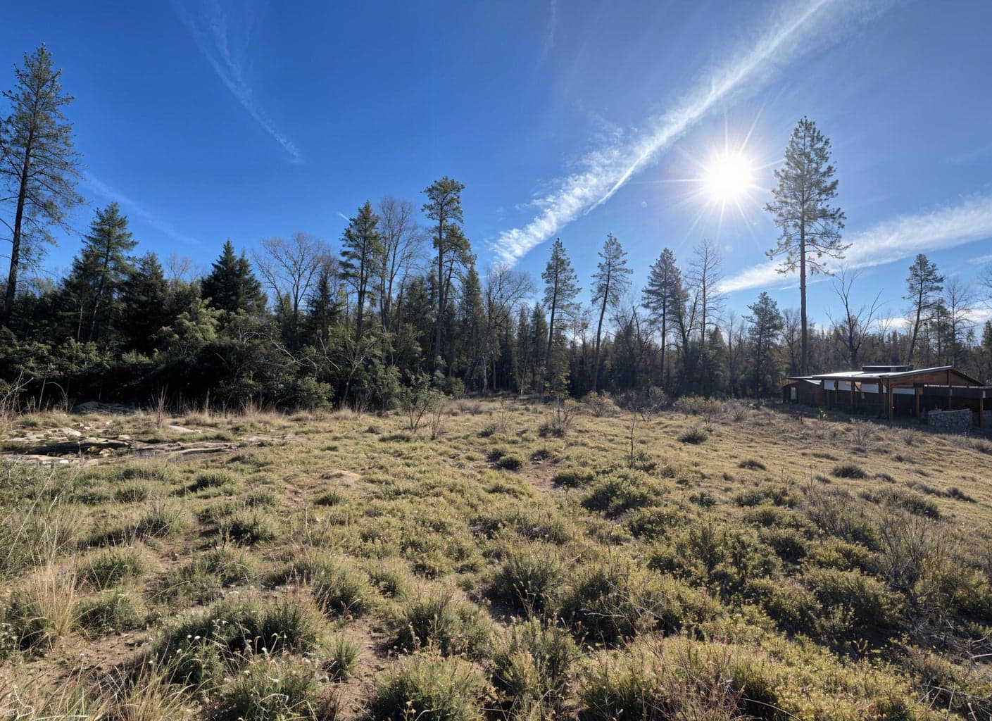 274 Maureen, Cave Junction, 97523