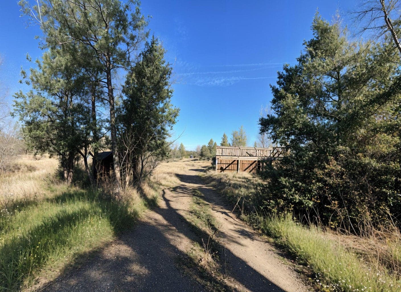 Front Driveway