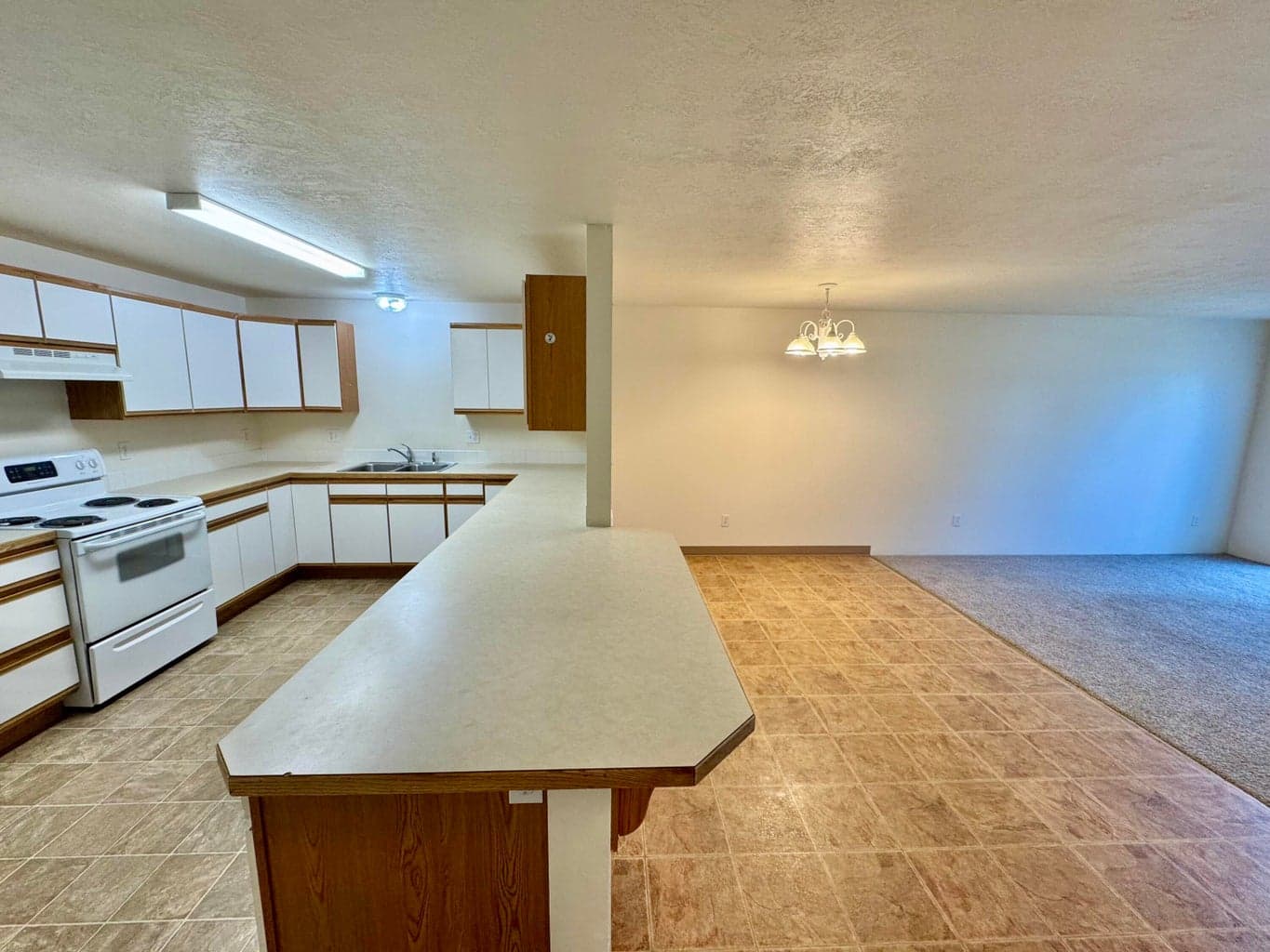 Photo of 609 NE Larch Avenue 7 of 14
