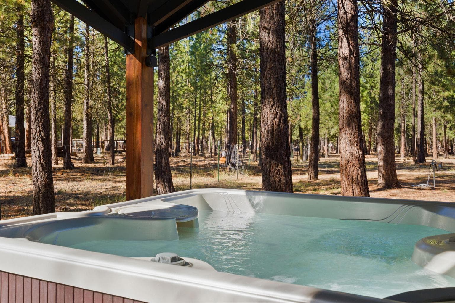 Photo of 52025 Noble Fir 40 of 50