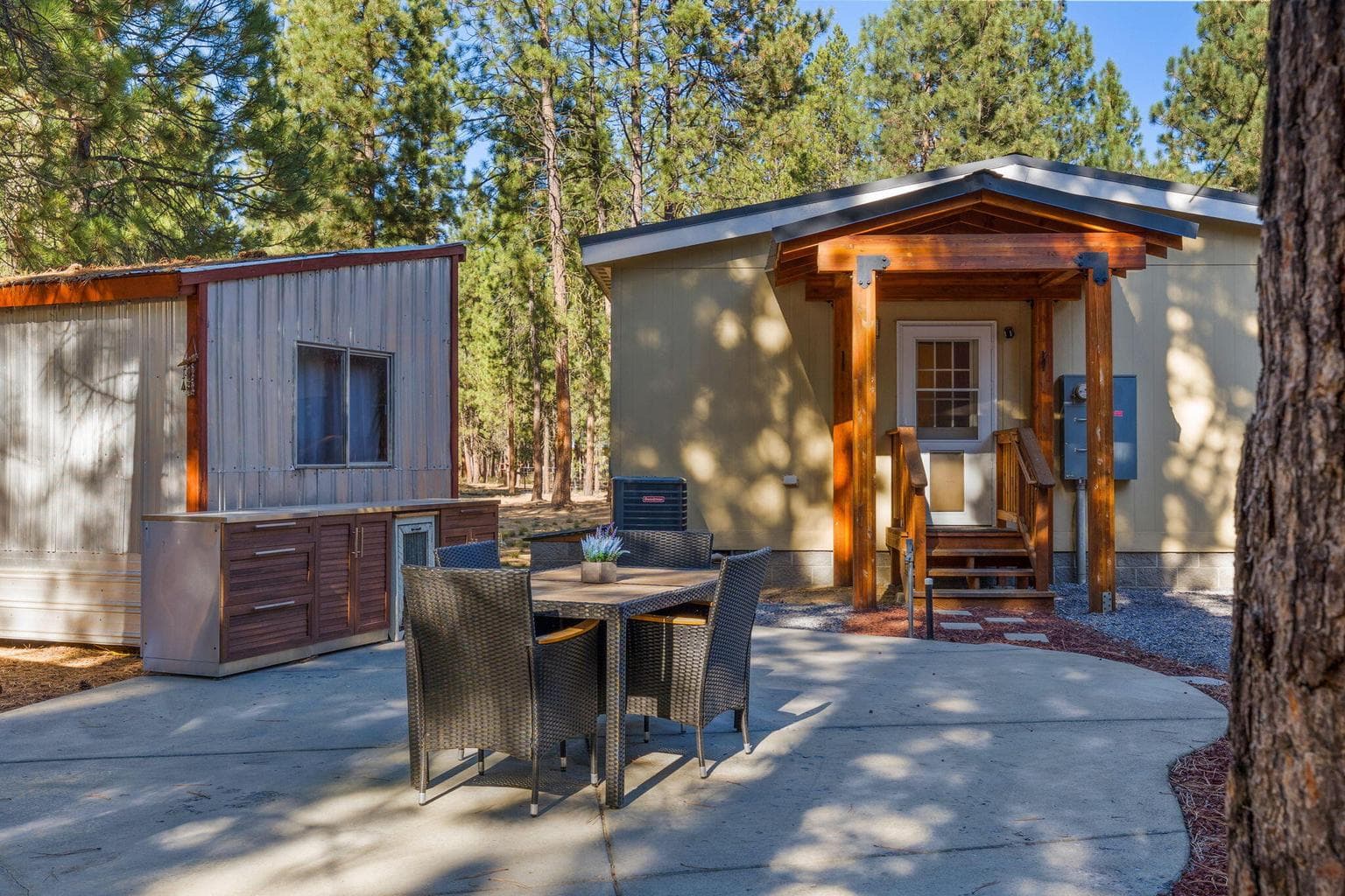 Photo of 52025 Noble Fir 42 of 50