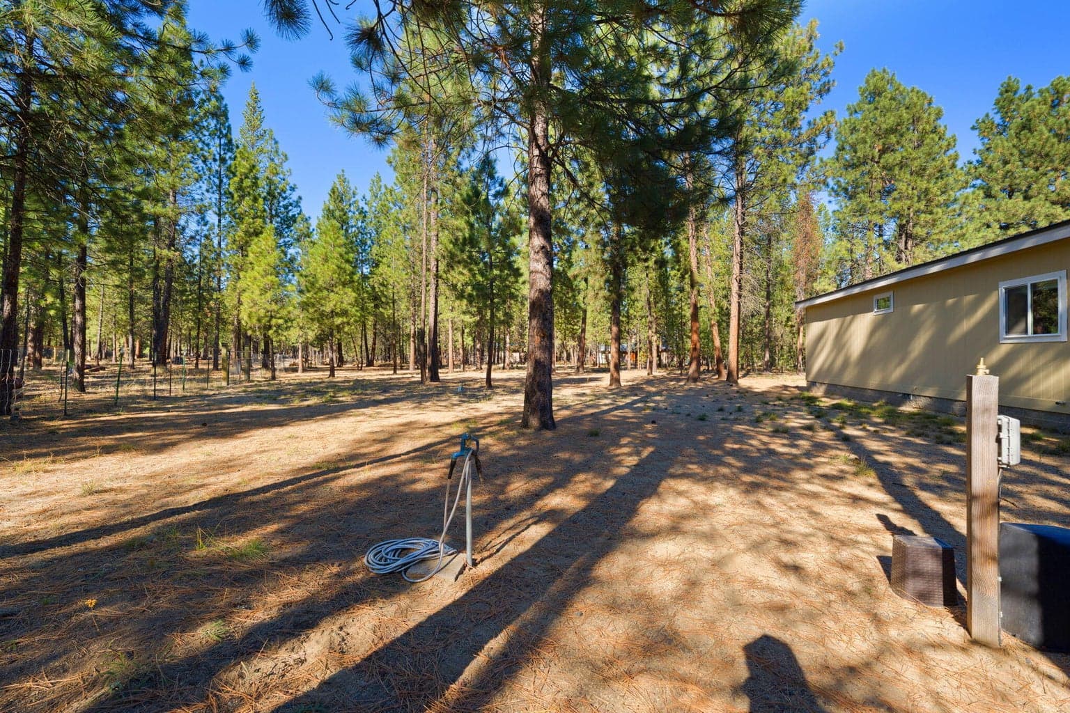 Photo of 52025 Noble Fir 45 of 50
