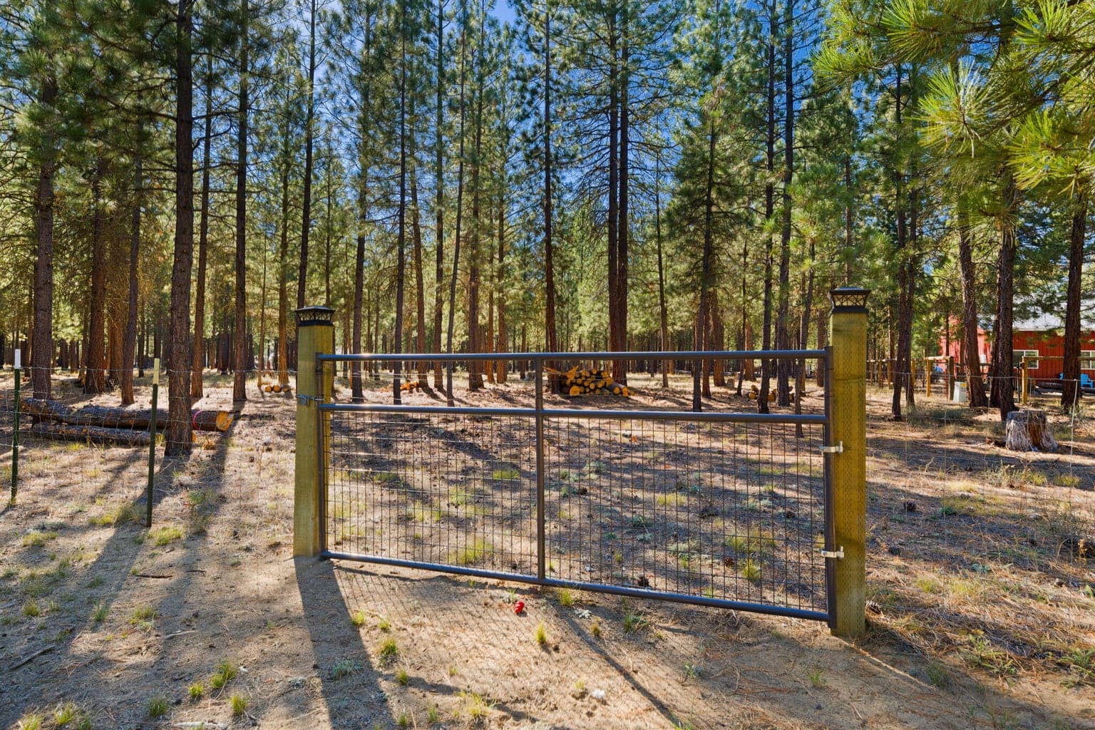 Photo of 52025 Noble Fir 46 of 50