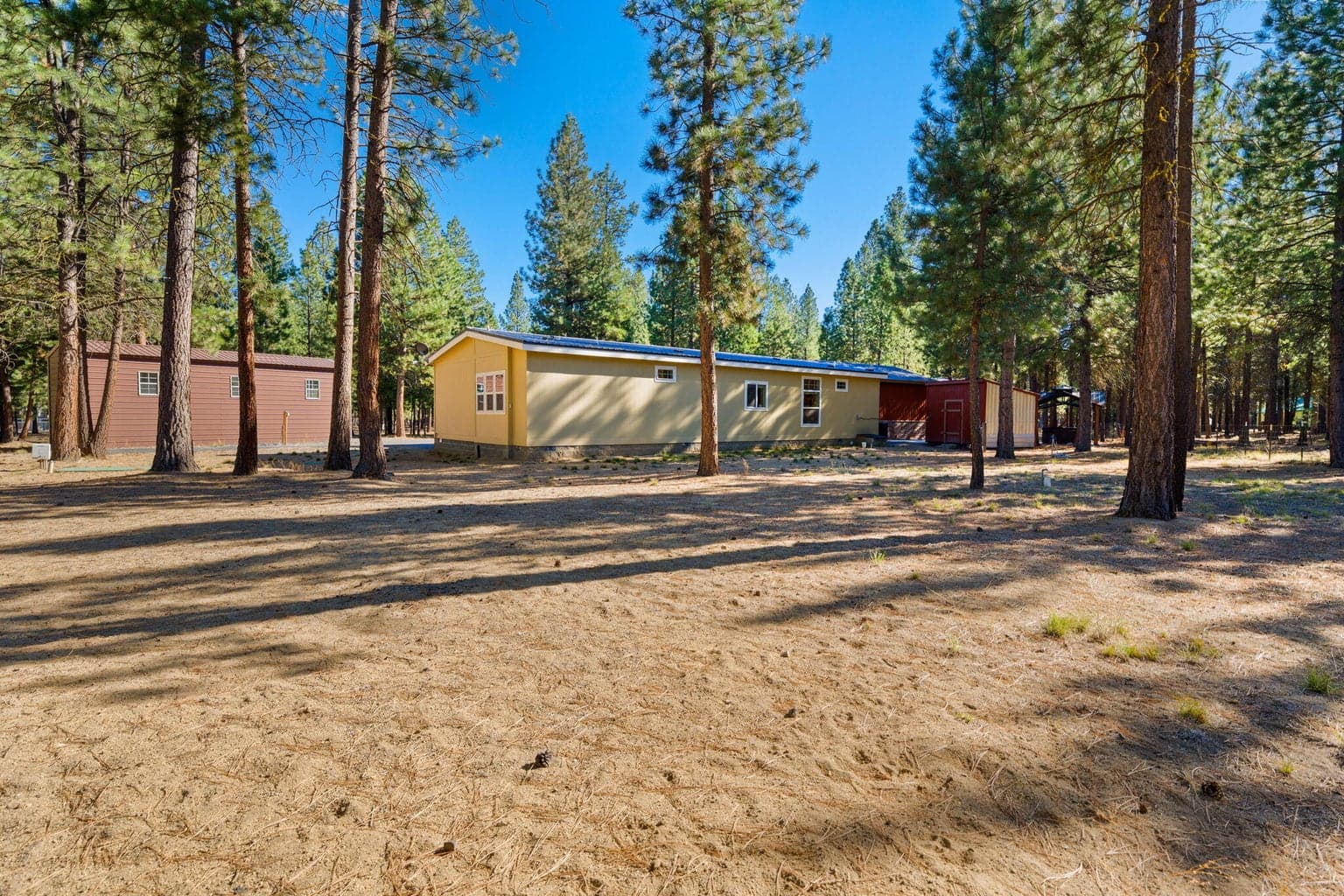 Photo of 52025 Noble Fir 47 of 50
